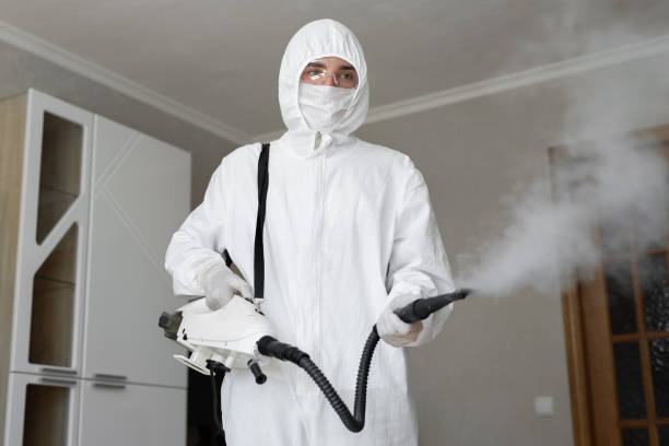 Mold Remediation for Rental Properties